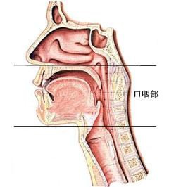 qiantanmanxingyanyandefangzhi