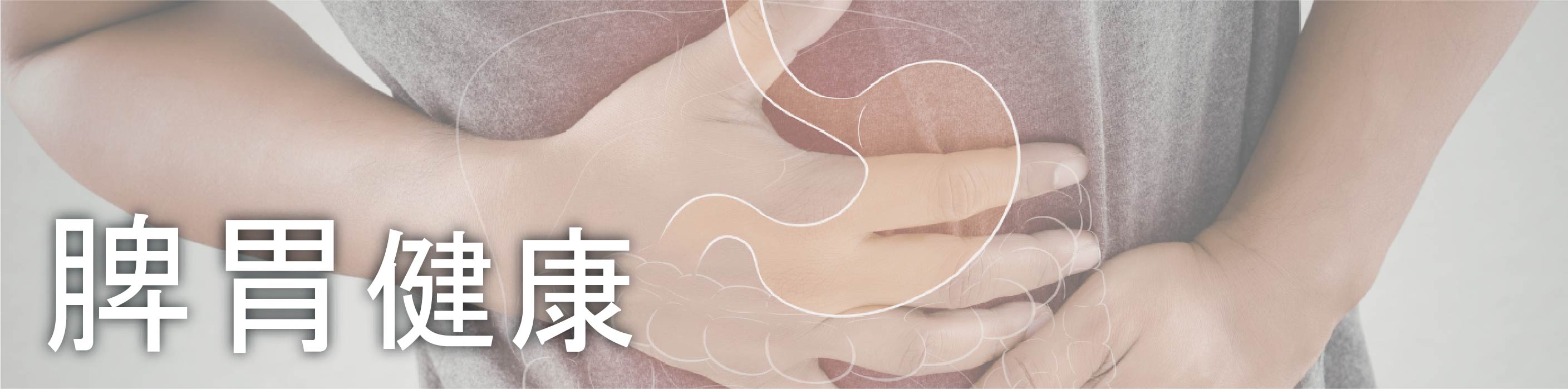 spleen and stomach health banner