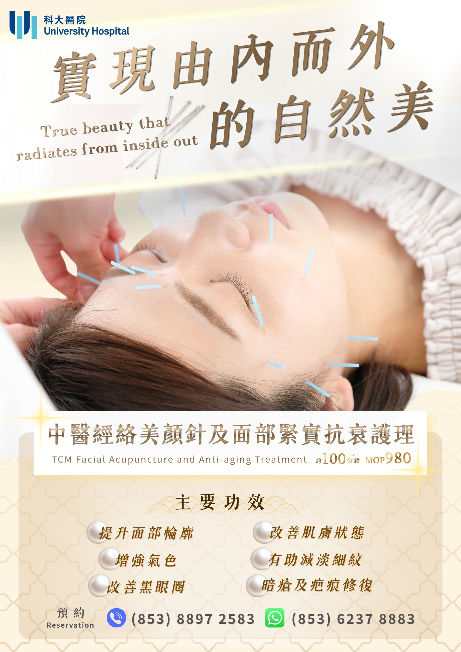 2026 traditional chinese medicine beauty poster